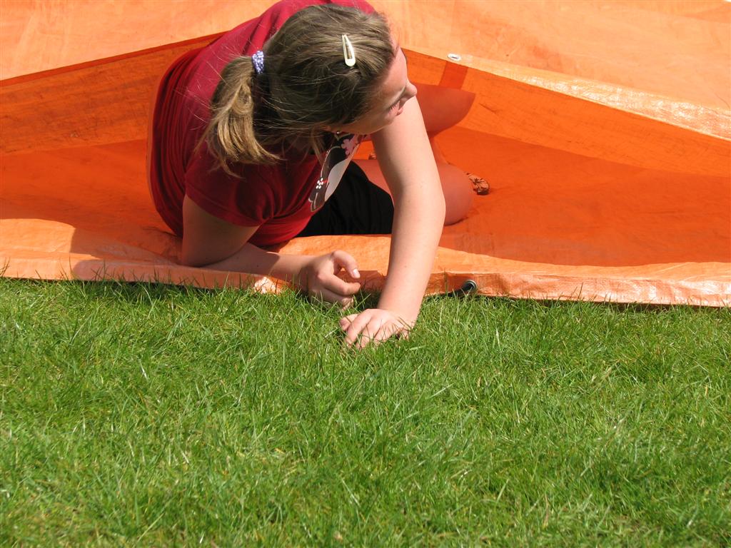 2008_mateijsen (169).JPG